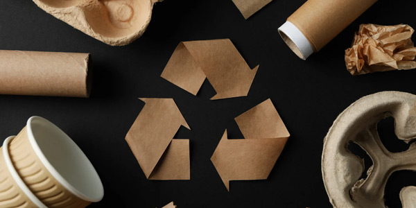 Recolección de cartón