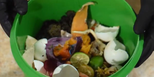 Recolección de desechos orgánicos